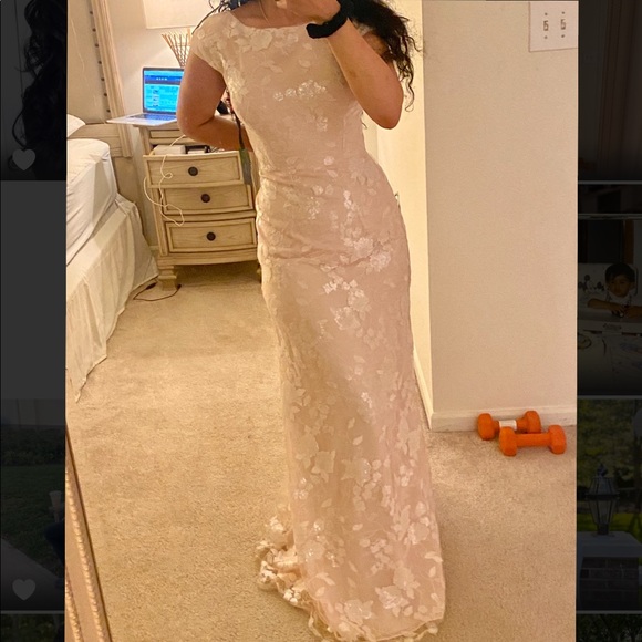 Vera Wang Natural Pink Evening Gown. Size 4 - Picture 2 of 5